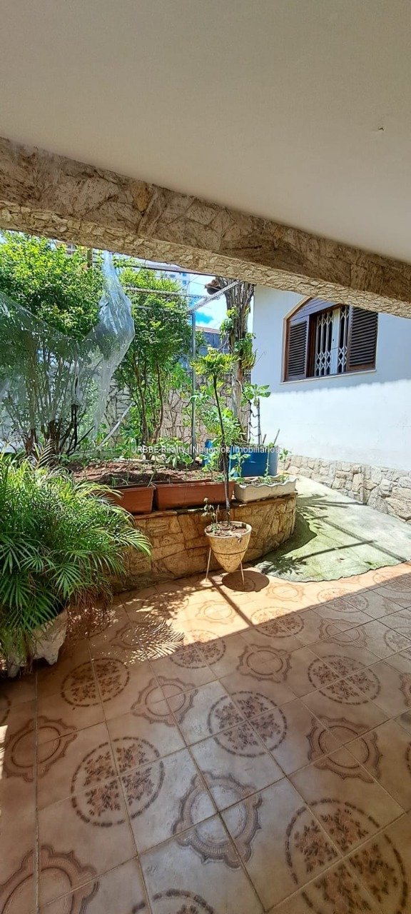 Imagem da propriedade 26623 22