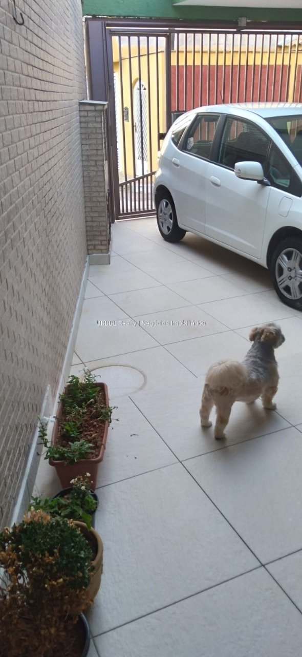 Imagem da propriedade 26677 42