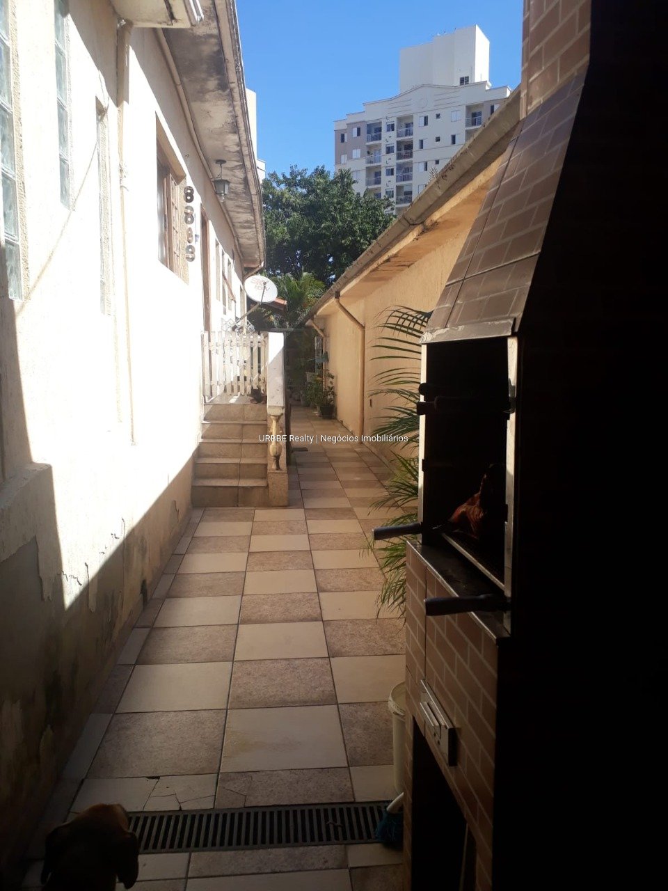 Imagem da propriedade 26692 34