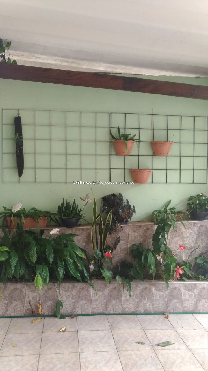 Imagem da propriedade 26698 19