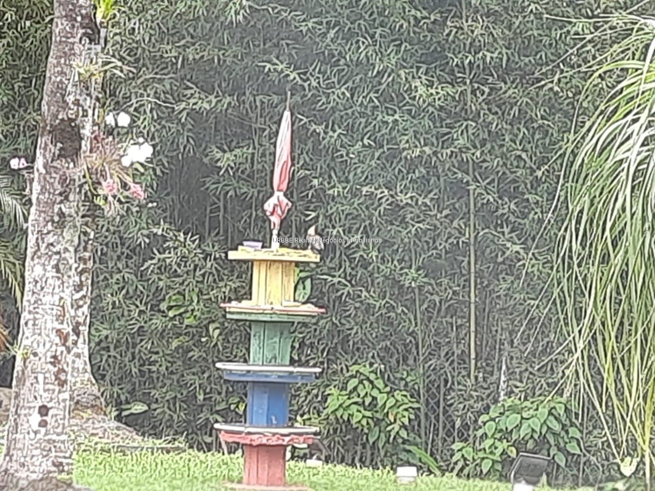 Imagem da propriedade 26703 4