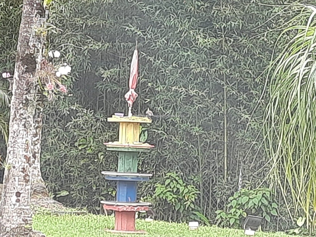 Imagem da propriedade 26703 10