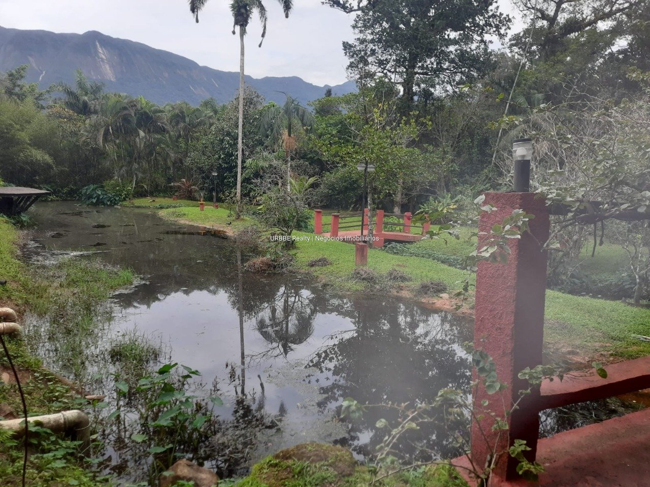 Imagem da propriedade 26703 12