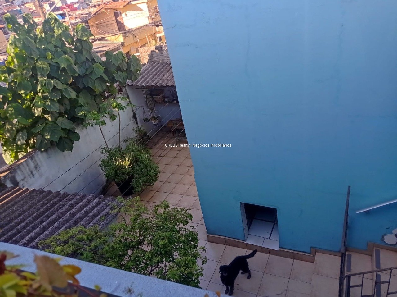 Imagem da propriedade 26734 15