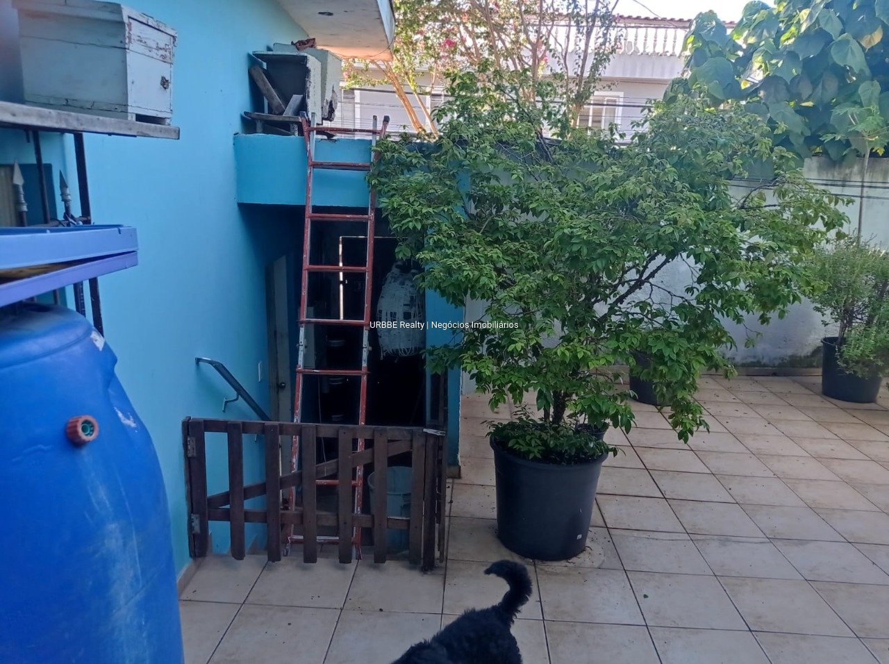 Imagem da propriedade 26734 22