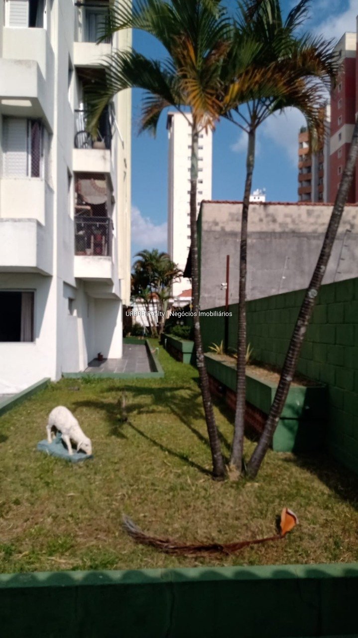 Imagem da propriedade 26742 16