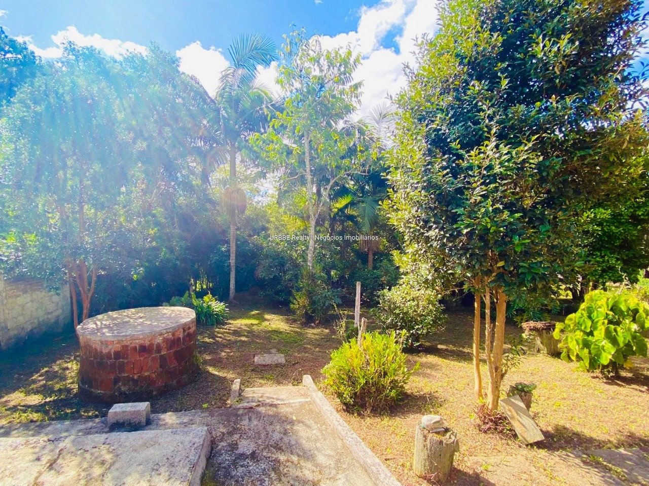 Imagem da propriedade 26826 15