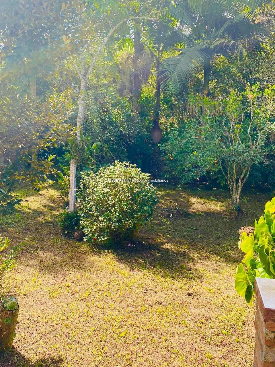 Imagem da propriedade 26826 18