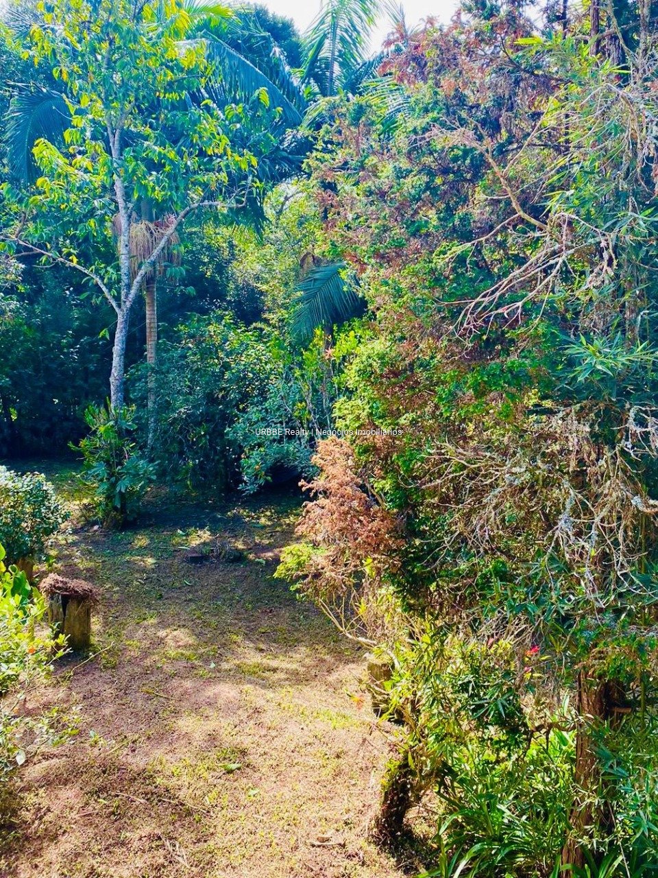 Imagem da propriedade 26826 20