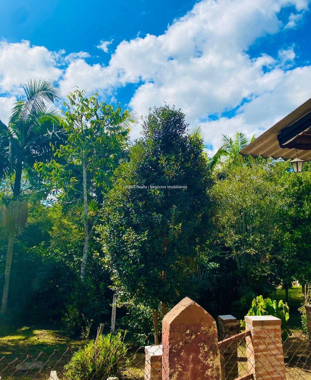 Imagem da propriedade 26826 21