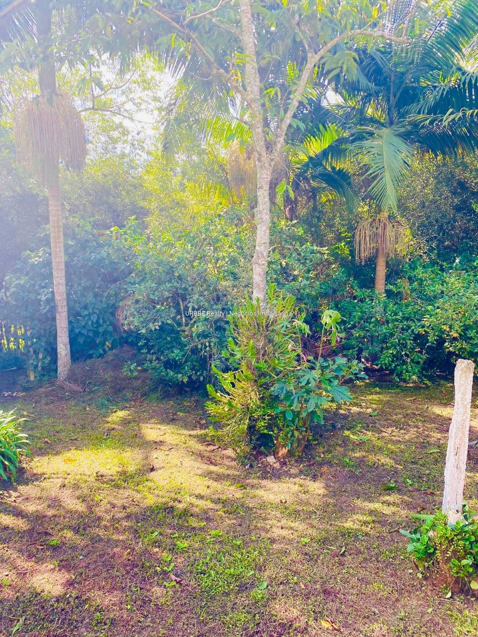 Imagem da propriedade 26826 24