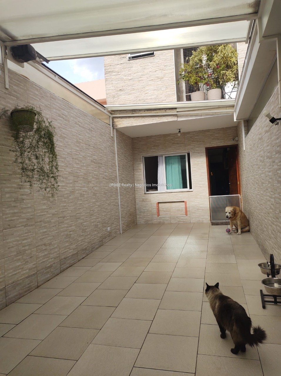 Imagem da propriedade 26857 5