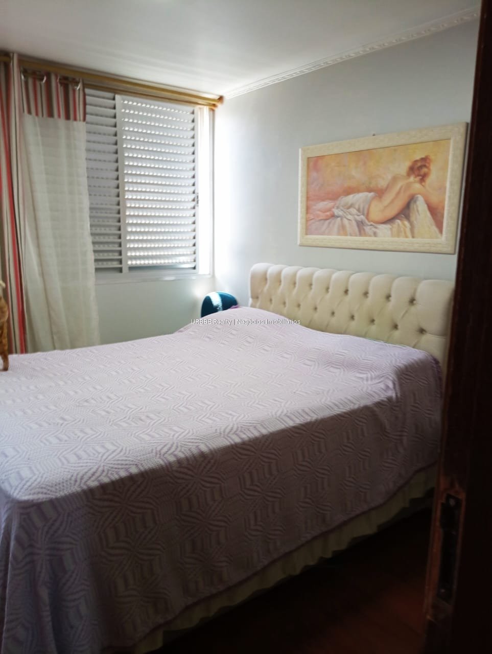 Imagem da propriedade 26876 3