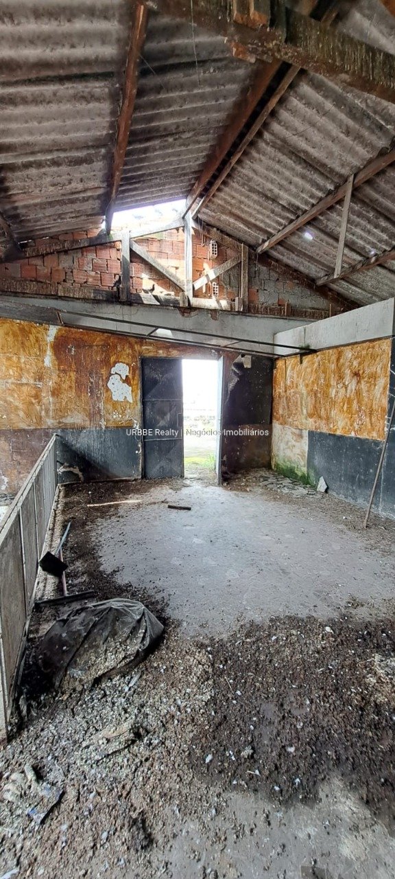 Imagem da propriedade 26897 4