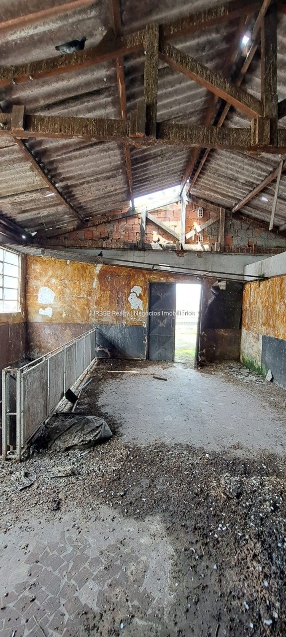 Imagem da propriedade 26897 3