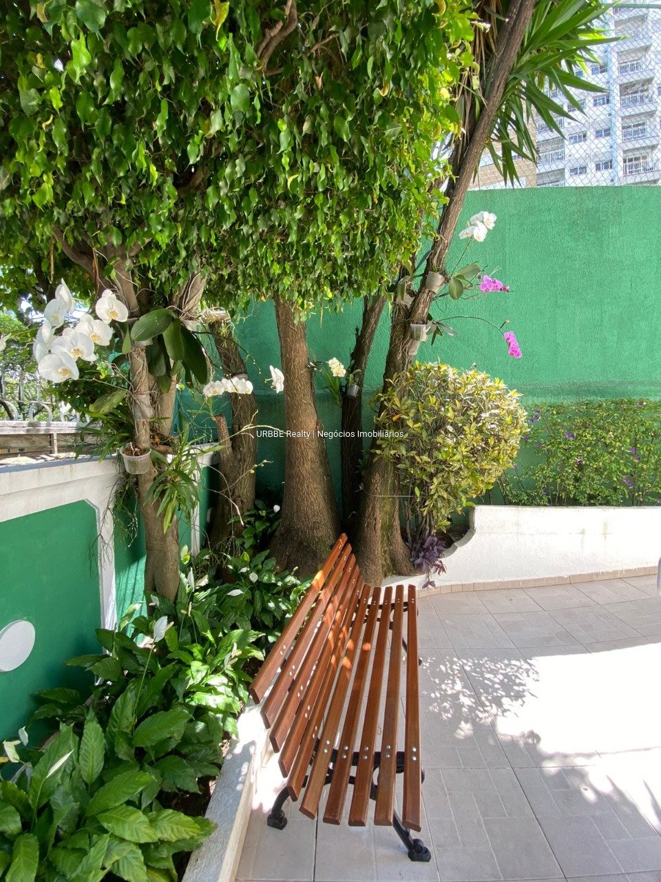 Imagem da propriedade 27006 30