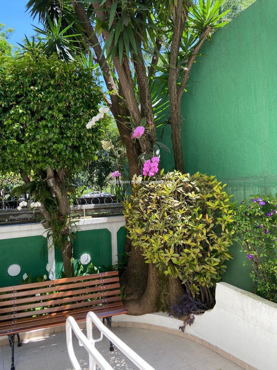 Imagem da propriedade 27006 33