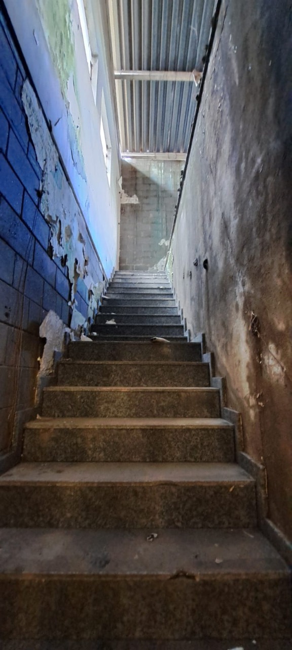 Imagem da propriedade 27023 3