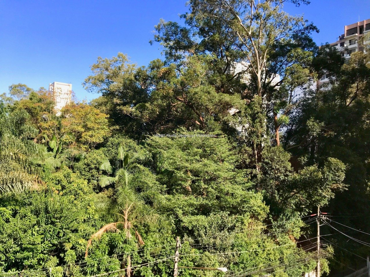 Imagem da propriedade 27058 5