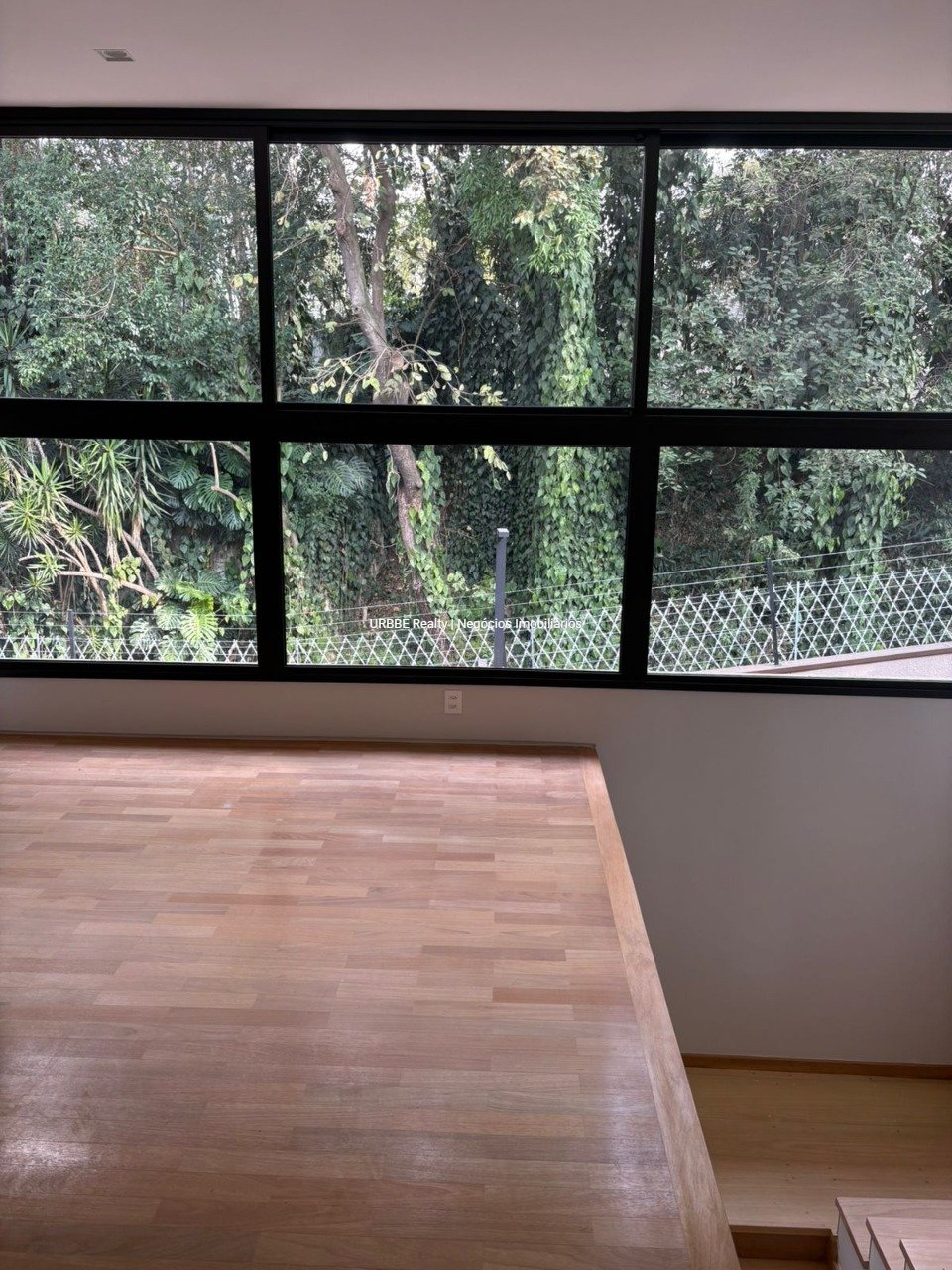 Imagem da propriedade 34