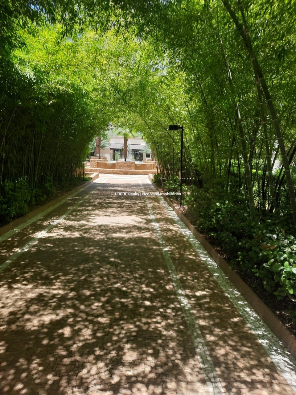 Imagem da propriedade 43