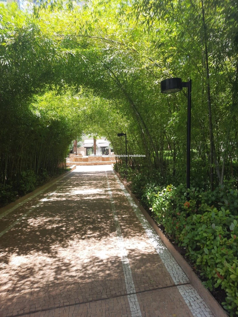 Imagem da propriedade 42