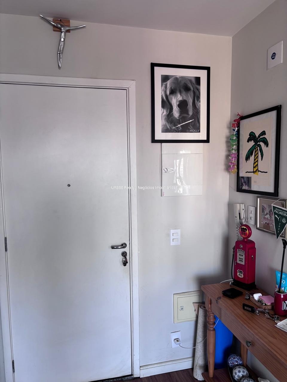 Imagem da propriedade 12