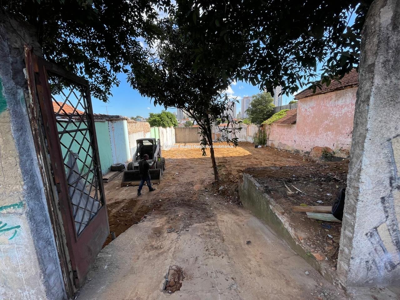 Imagem da propriedade 3