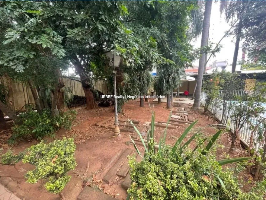 Imagem da propriedade 32