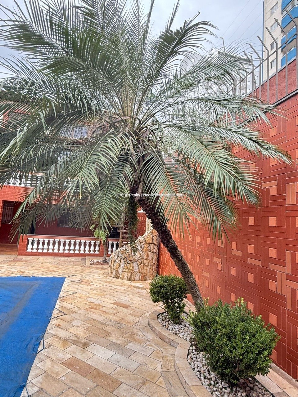 Imagem da propriedade 21