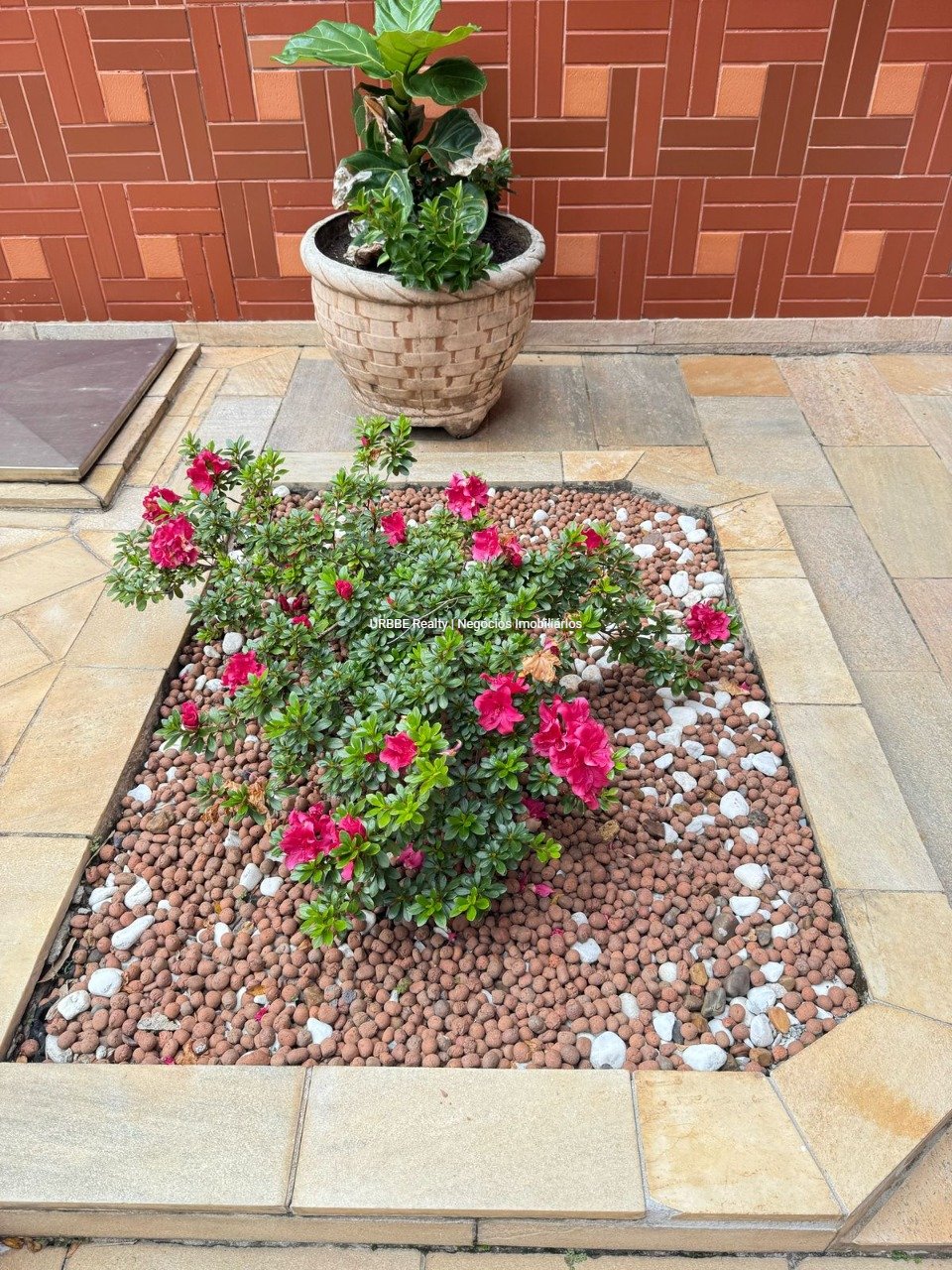 Imagem da propriedade 83