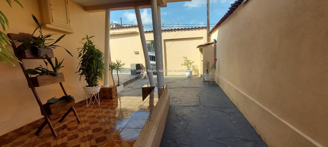 Imagem da propriedade 3923 11