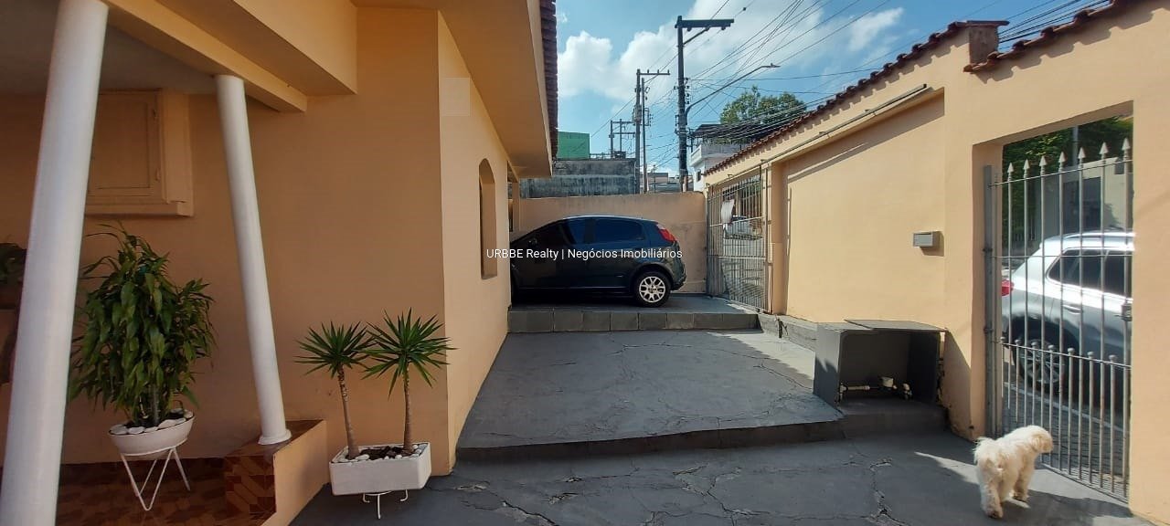 Imagem da propriedade 3923 20