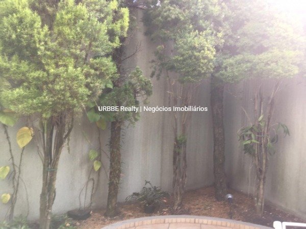 Imagem da propriedade 4272 11