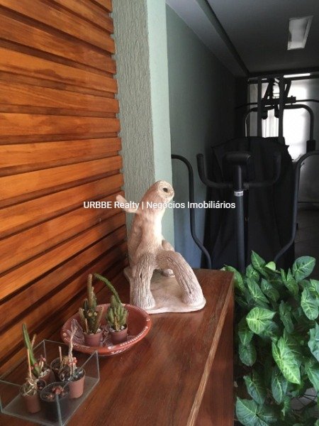 Imagem da propriedade 4272 14