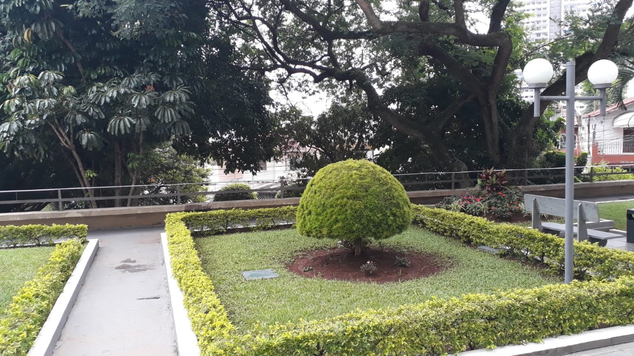 Imagem da propriedade 919 24