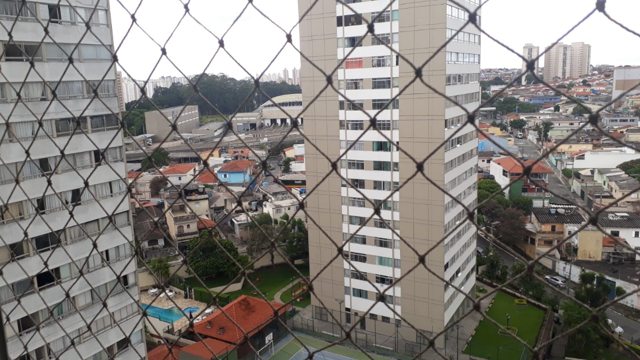 Imagem da propriedade 919 15