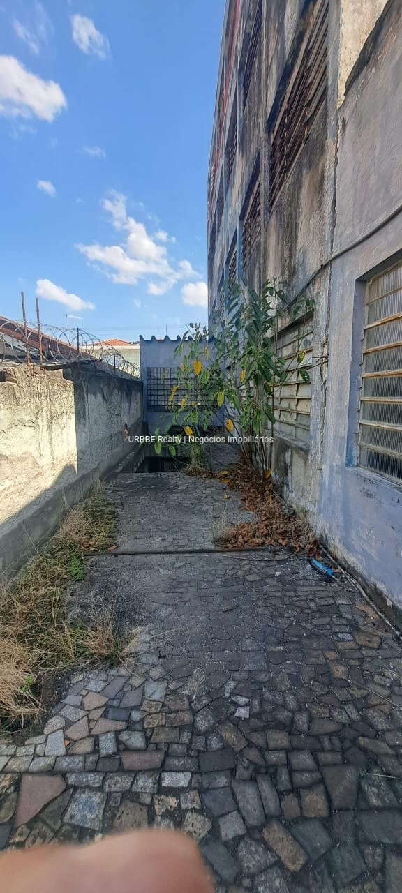 Imagem da propriedade 13