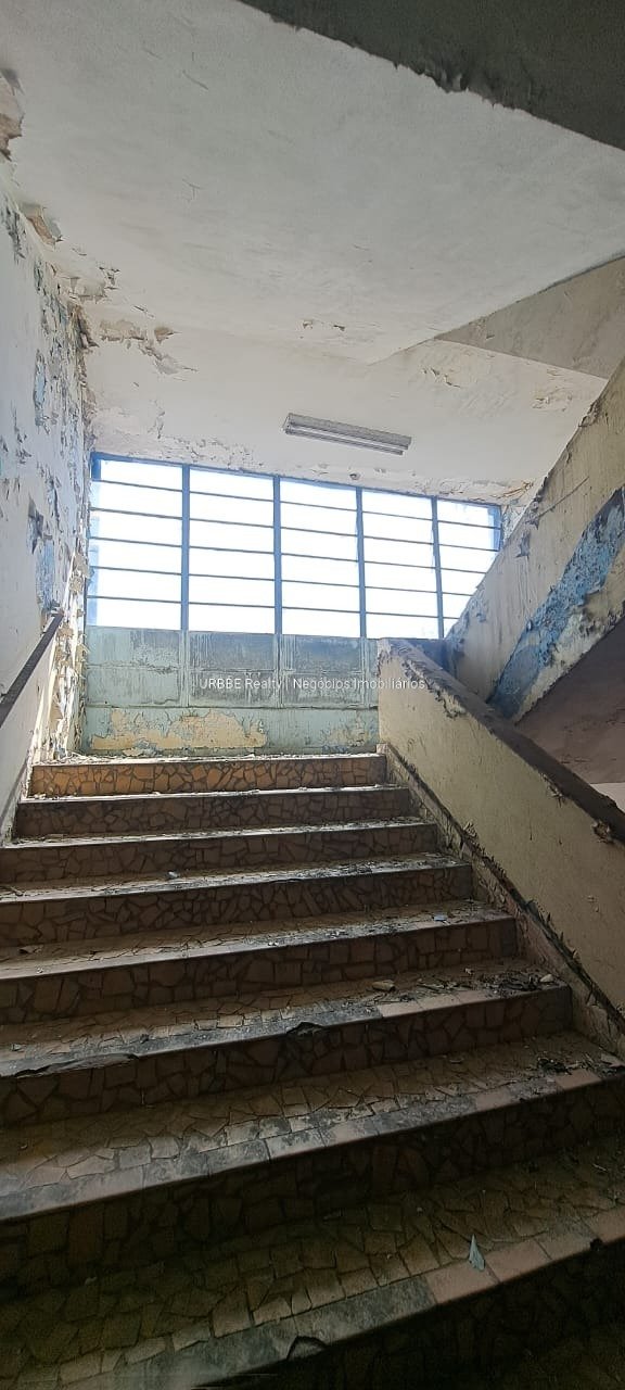 Imagem da propriedade 11