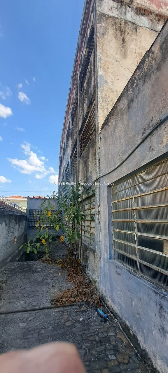 Imagem da propriedade 14